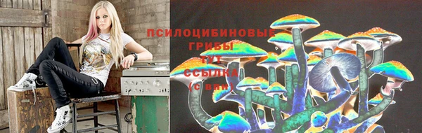 шишки Володарск