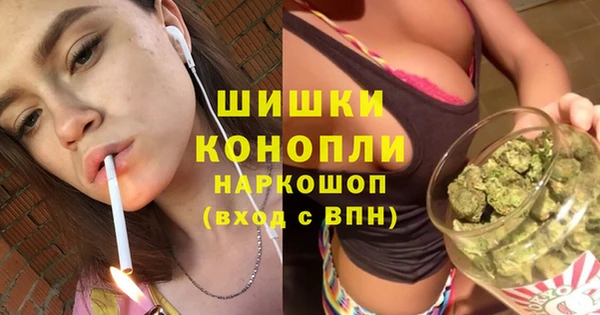 ГАЛЛЮЦИНОГЕННЫЕ ГРИБЫ Вяземский