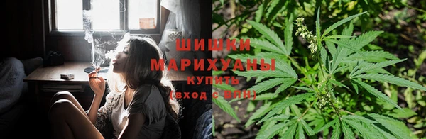 ешки Волосово