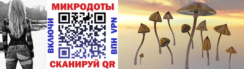 Купить закладки Касимов Псилоцибиновые грибы MAGIC MUSHROOMS