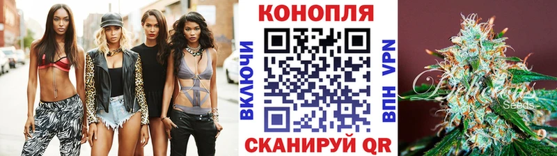 Каннабис тримм  Купить закладки  Касимов 